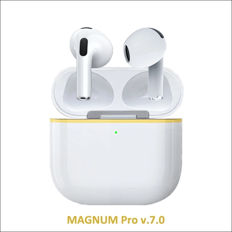 Magnum Pro v.7.0 _ GOLD _ 01 copy